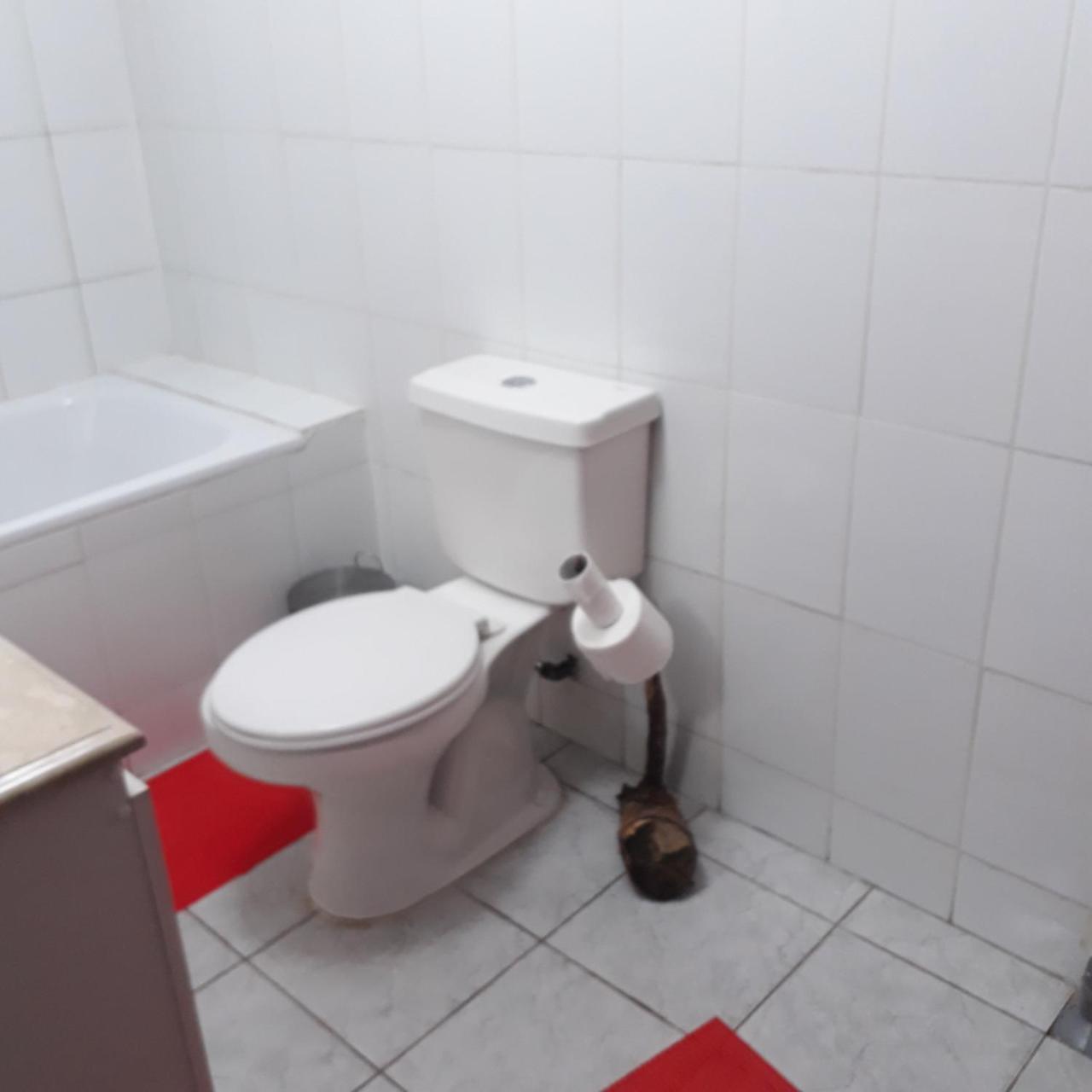 La Llar Hostel 潘吉普伊 外观 照片